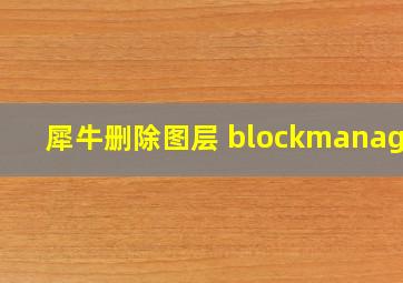 犀牛删除图层 blockmanager